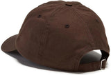 Polar Sai Varsity Logo Hat / Brown