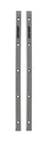 Santa Cruz Slim Line Rails / Silver