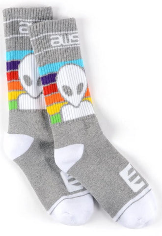Alien Workshop Spectrum Socks